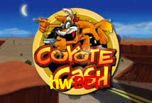 Descubra o Mundo do Cassino Online com hwbet